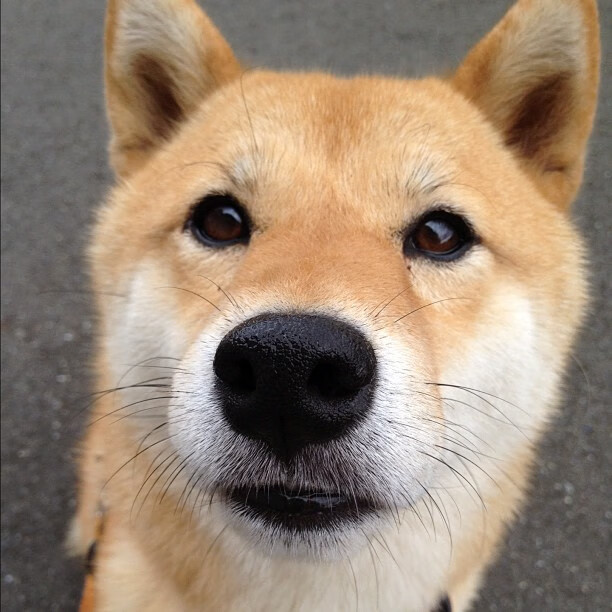 _城市跑步游乐场：运动与休闲的完美结合_，跑场乐手