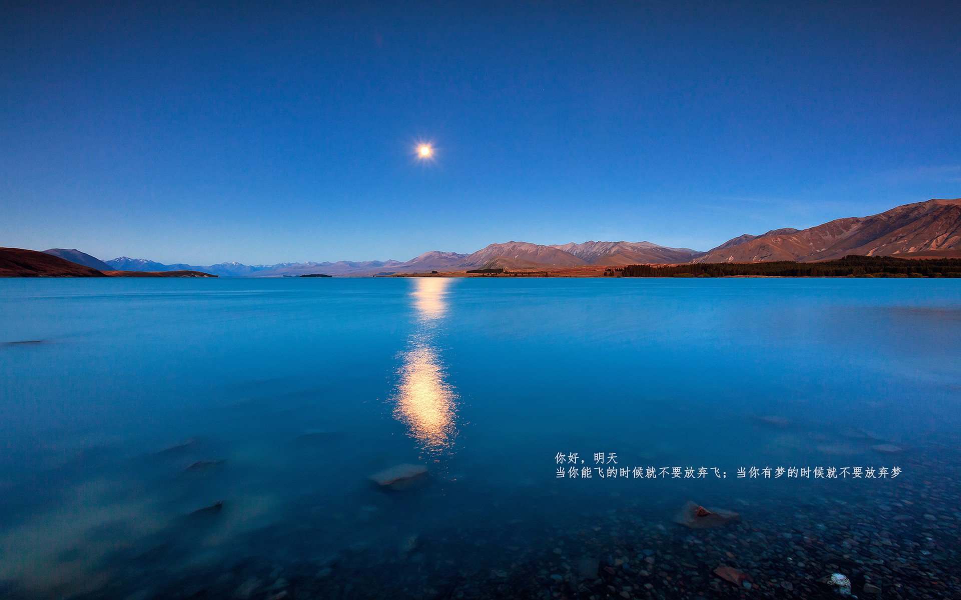 _纳达尔法网夺冠,再创红土王者传奇_,纳达尔法网2020赛程