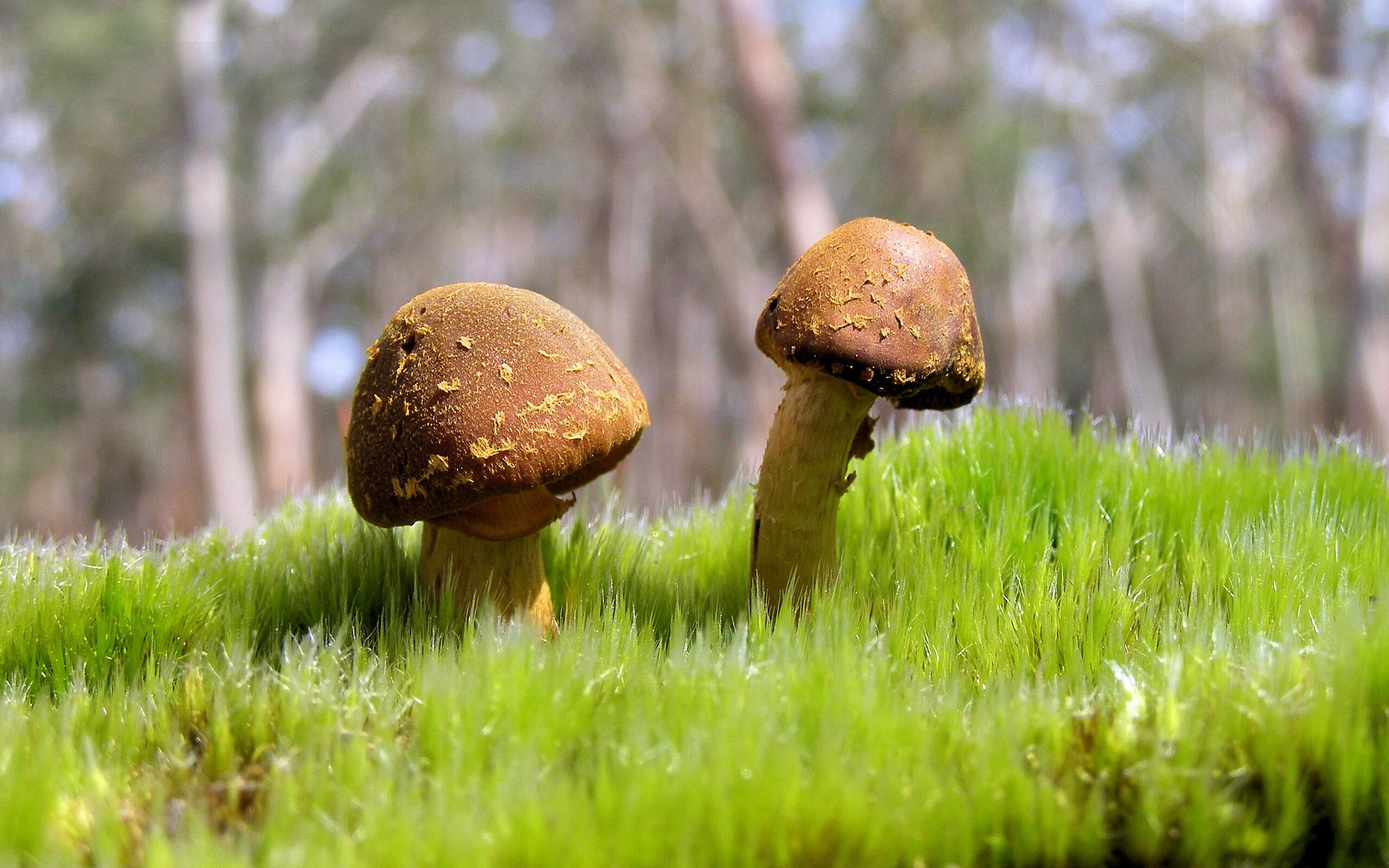 “青少年足球联赛精彩纷呈,激发青少年潜能”,青少年的足球联赛