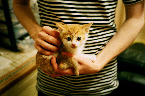 广场舞推动体育产业多元化发展，舞蹈体育广场舞