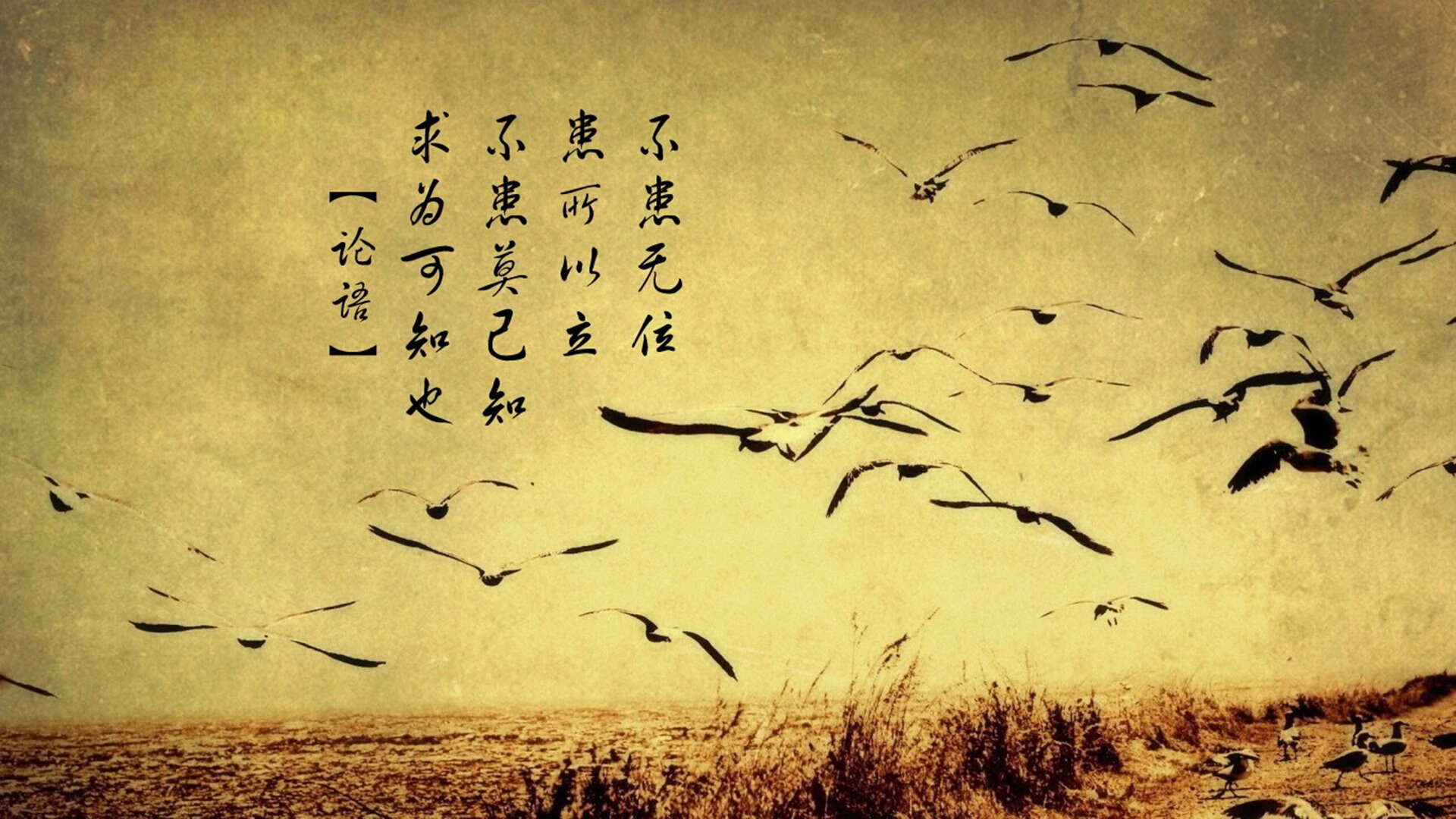 RNG新人选手表现抢眼，rng新上单new资料