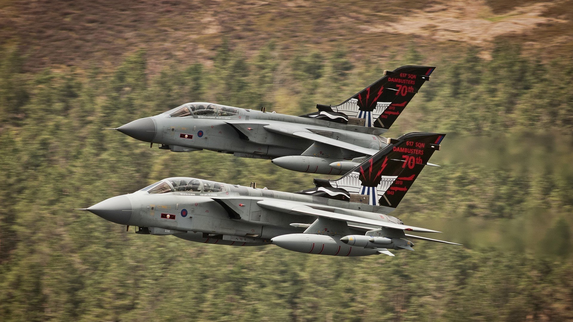 女足世界杯裁判阵容公布，女足世界杯误判