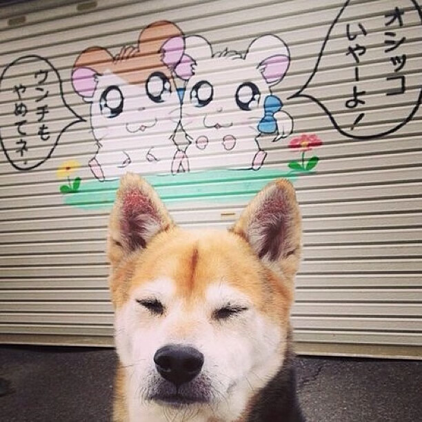 NBA联盟裁判员判罚准确率提升策略,nba裁判分工