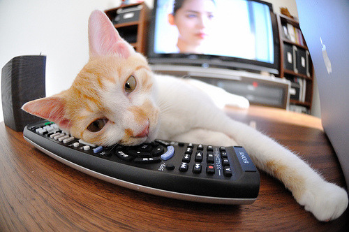 运动训练中数据采集与分析技术应用研究,运动训练中数据采集与分析技术应用研究的意义