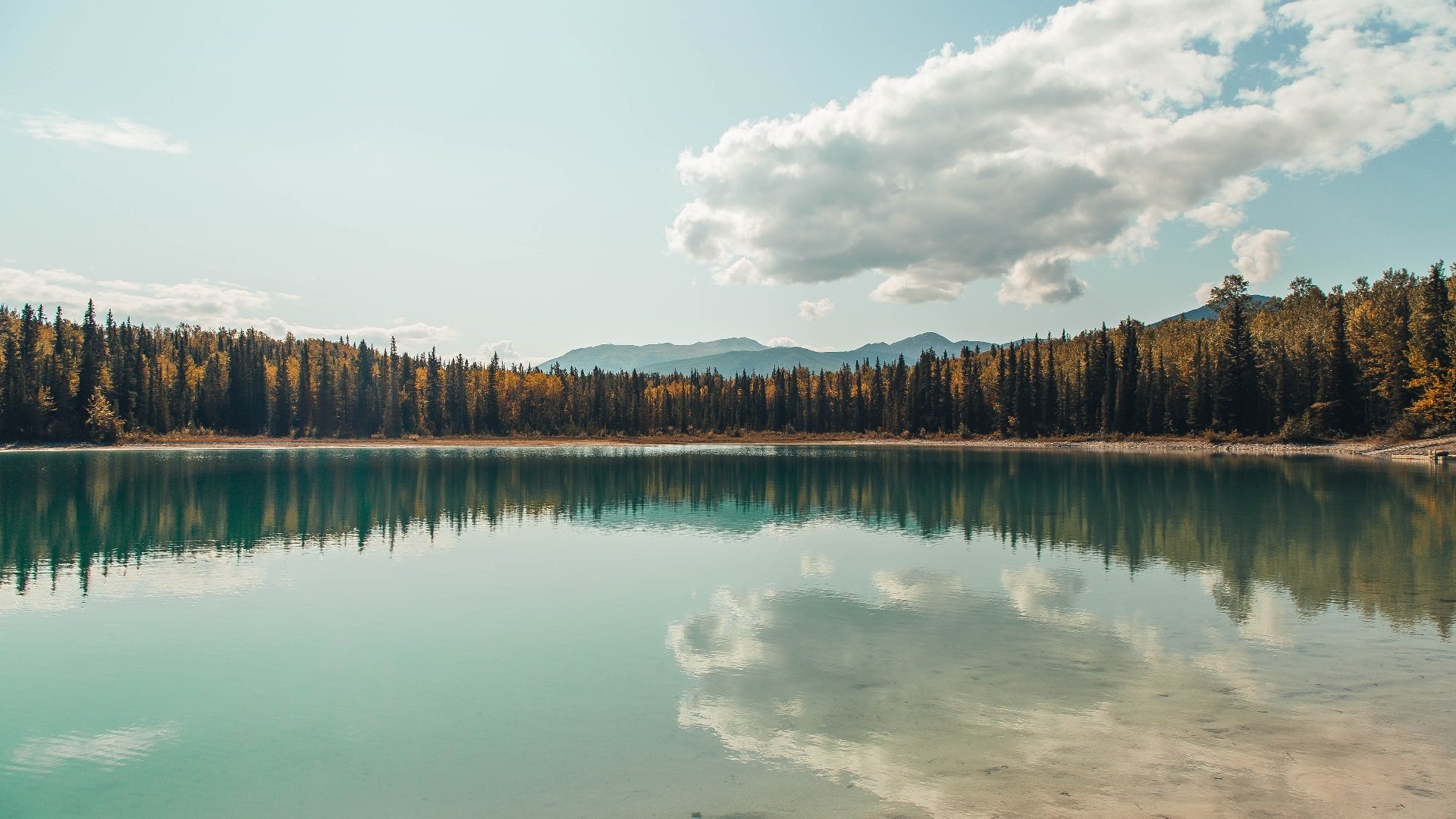 运动训练中数据采集与分析技术应用研究,运动训练中数据采集与分析技术应用研究的意义