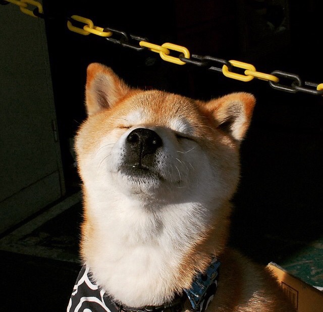 高节奏进攻对教练布置时间的挑战，高节奏进攻对教练布置时间的挑战有用吗