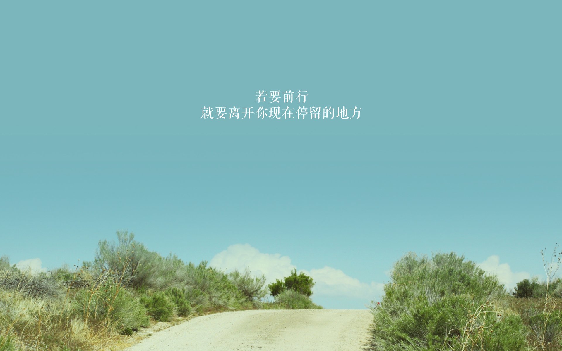 公牛球迷展示全家NBA主题装扮登热搜，nba公牛成员