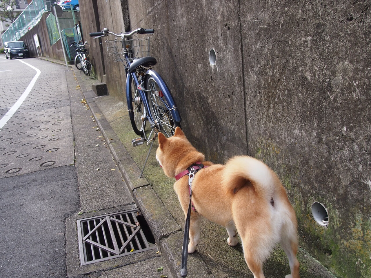 德甲赛场盛宴：攻防转换间的精彩佳作，德甲防守最好的球队