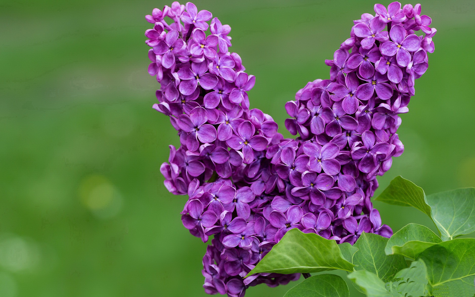 男子国家队注重体能与技术的结合提升整体实力，国家队体能达标测试评分标准(2020年2月版)