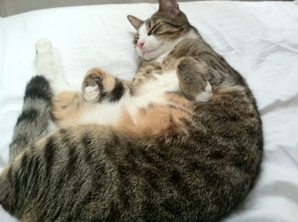 霍勒迪谈防守轮转中沟通起到决定作用，霍勒迪防守教学